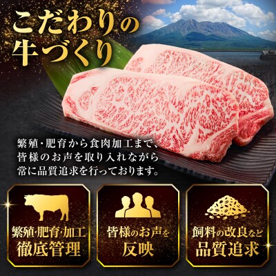 北さつま牛サーロインステーキ　K137-004