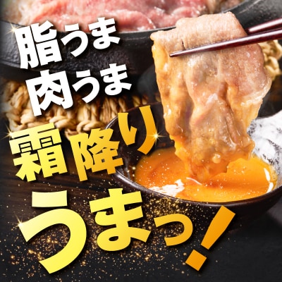 北さつま牛ローススライス　K137-005