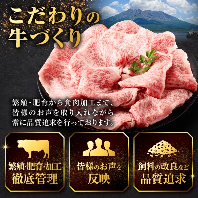 北さつま牛ローススライス　K137-005