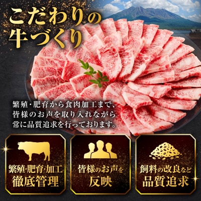 北さつま牛カルビ焼肉用　K137-006