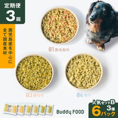 【全3回定期便】Buddy FOOD 人気セットB 3種6パック　K390-T12_a