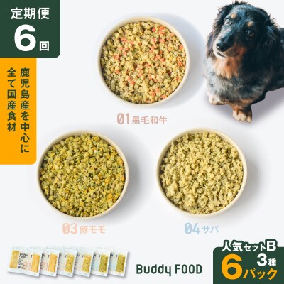 【全6回定期便】Buddy FOOD 人気セットB 3種6パック　K390-T12_b