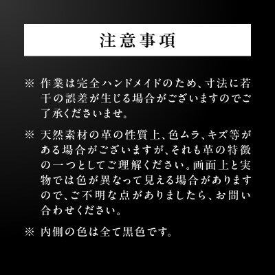 Stern～ROYAL Leather～ Lサイズ(オレンジ)　K338-003_02