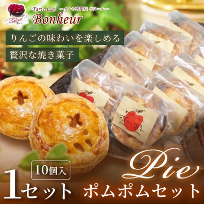 ポムポムセット(10個入り)　K351-003
