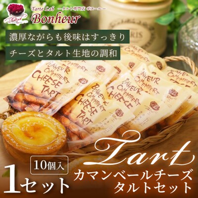 カマンベールチーズタルトセット(10個入り)1セット　K351-005