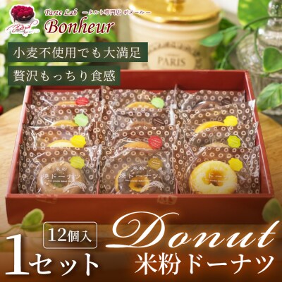 米粉ドーナツセット(12個入り)　K351-008