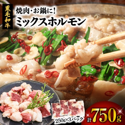 焼肉・お鍋に!ミックスホルモン750g(250g×3パック)　K002-005_01