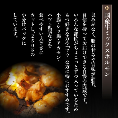 焼肉・お鍋に!ミックスホルモン750g(250g×3パック)　K002-005_01