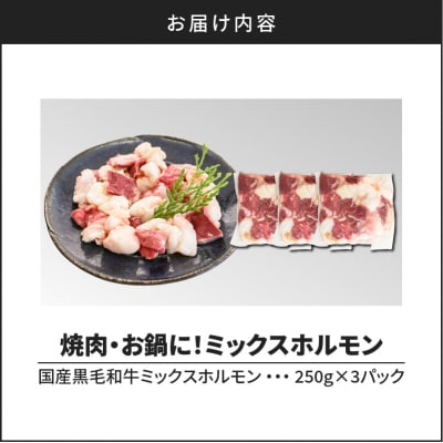 焼肉・お鍋に!ミックスホルモン750g(250g×3パック)　K002-005_01