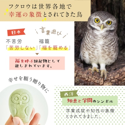 【3羽入】フクロウのフロランタン　K320-004_01