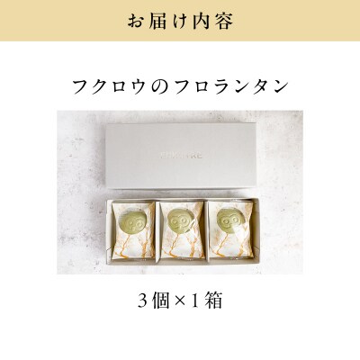 【3羽入】フクロウのフロランタン　K320-004_01