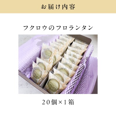 【20羽入】フクロウのフロランタン　K320-004_03