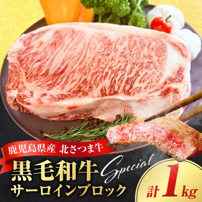 北さつま牛 サーロインブロック　K137-007