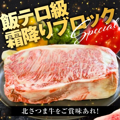 北さつま牛 サーロインブロック　K137-007