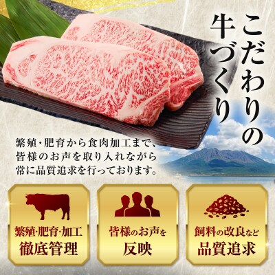 北さつま牛 サーロインブロック　K137-007