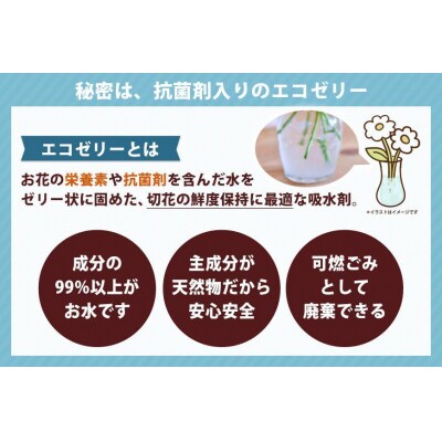 【水換え・花瓶のいらない花束】そのままブーケ チェリーレッド　スタンディングブーケ【FP005】