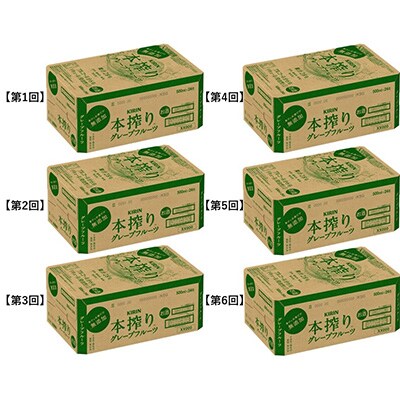 2023年2月発送開始『定期便』キリン本搾りチューハイグレープフルーツ缶500ml×24本全6回