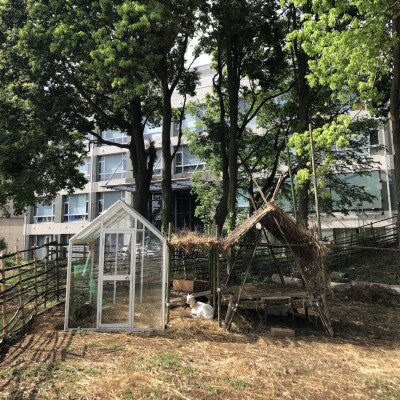 【1点もの】東京藝大取手校地の草を食べて暮らすヤギのふん絵の具で描いたドローイング作品 #33