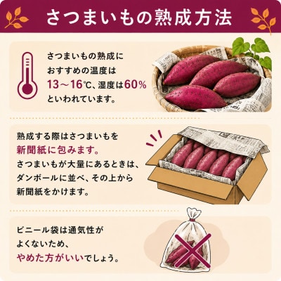 【先行受注・数量限定】10月中旬より順次発送　訳アリ 5kg 茨城県産 紅はるか