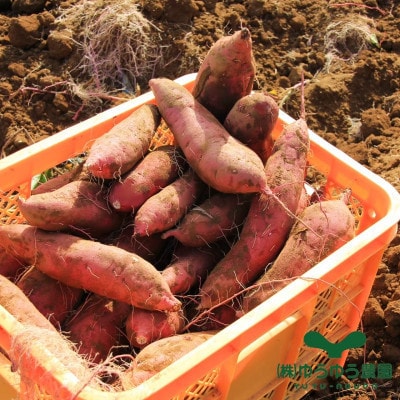 山田のややこ -おいものこ- ほしいもセット 600g(100g×2個・200g×2個)