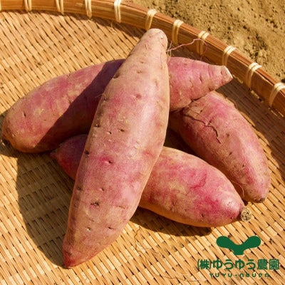 山田のややこ-おいものこ- おすすめセット 600g