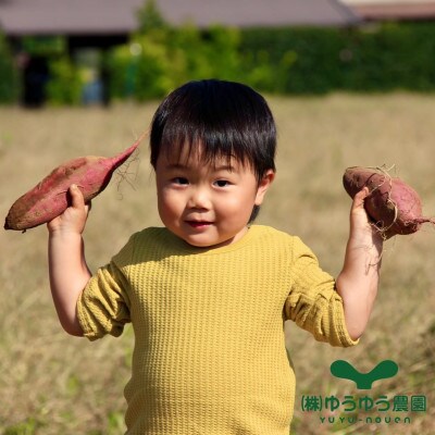 山田のややこ -おいものこ- バラエティーセット 1.2kg