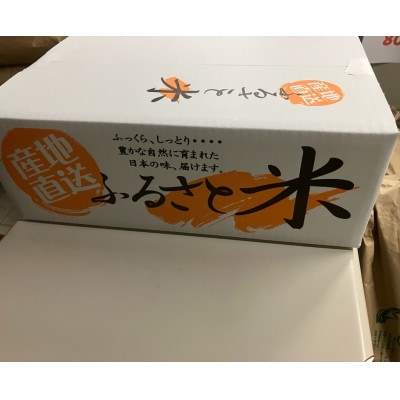 取手市産コシヒカリ玄米 計10kg