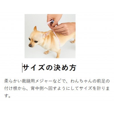 メガネハーネス【Sサイズ 】ホワイト ゴールド金具(本革製) kazama standard