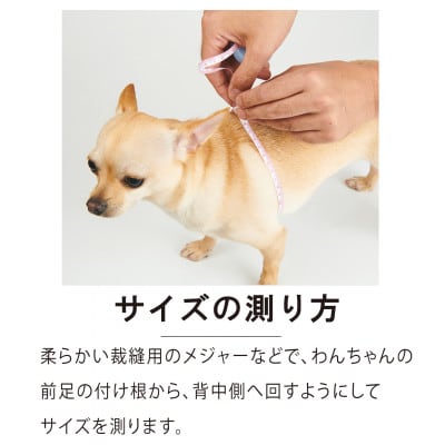 メガネハーネス【S+サイズ】サムシングブルー ゴールド金具(本革製) kazama premium