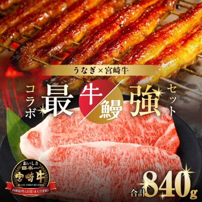 ≪数量限定≫うなぎ×宮崎牛 都農町最強セットA_T030-129