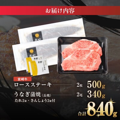 ≪数量限定≫うなぎ×宮崎牛 都農町最強セットA_T030-129