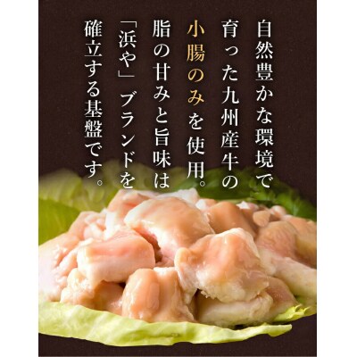 【全6回定期便】国産・完全 無添加 もつ鍋セット ×2 (約4人前) 白みそ味[AFF009]