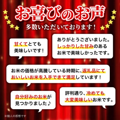 令和6年産 “岩見沢”の自信作!" ななつぼし5kg&ゆめぴりか5kg×2回 合計20kg ※定期便