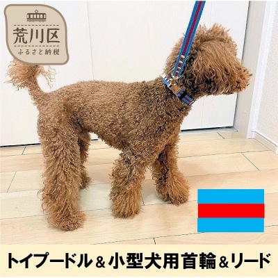 トイプードル及び小型犬用カラー(首輪)&リード(カラー:水色・赤・水色)【001-005】
