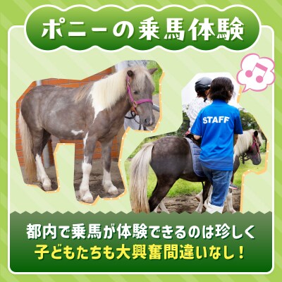 あらかわ遊園フリーパス(大人)3枚【015-003】