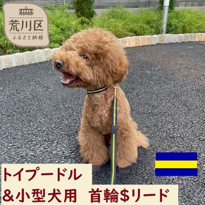 トイプードル及び小型犬用カラー(首輪)&リード(カラー:紺・黄・紺)【001-015】