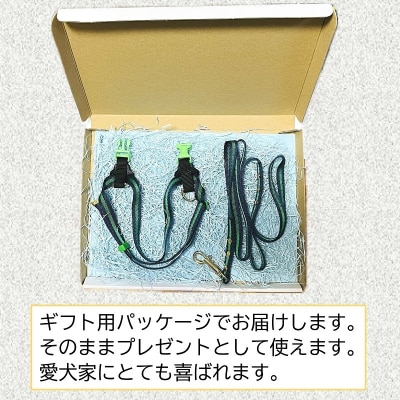 トイプードル向けハーネス&リード(カラー:紺緑紺)【001-018-5】