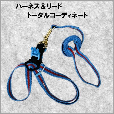 トイプードル向けハーネス&リード(カラー:青赤青)【001-018-6】