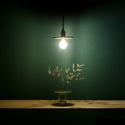 【真鍮の2WAYペンダントライト】　- お皿形シェードにあらわれる陰影の立体感 -【018-014】