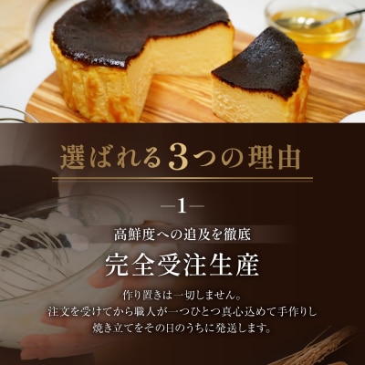 食べ比べセット(バスクチーズケーキ・カカオバスクチーズケーキ)【069-005】