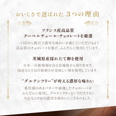 ガトーショコラ【069-004】