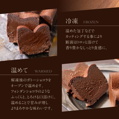 ガトーショコラ【069-004】