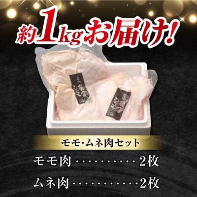 信州黄金シャモ モモ・ムネ肉セット 約1kg