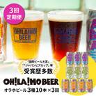【3回定期便】オラホビール3種飲み比べ10本セット
