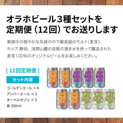 【12回定期便】オラホビール3種飲み比べ10本セット