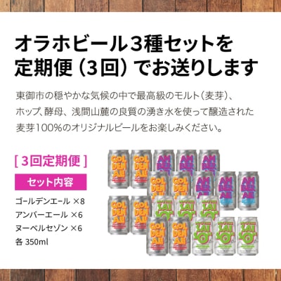 【3回定期便】オラホビール3種飲み比べ20本セット
