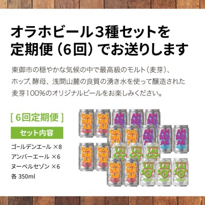 【6回定期便】オラホビール3種飲み比べ20本セット