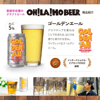 【4回定期便】オラホビール ゴールデンエール&アンバーエール10本