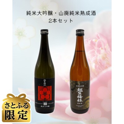 【さとふる限定】越生梅林 旨味たっぷり2本セット