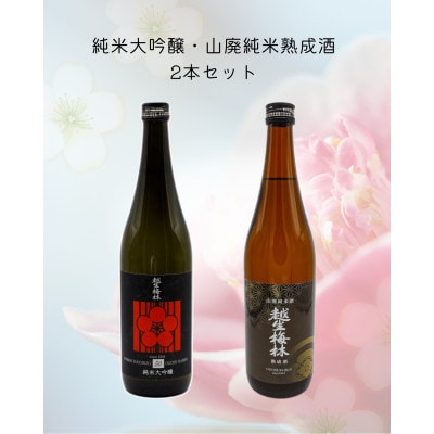 越生梅林 旨味たっぷり2本セット